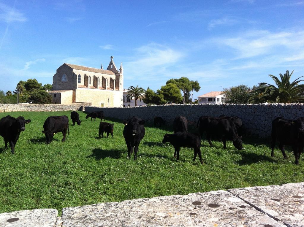 Llucmacanes Gran Agroturismo Mahón Exterior foto